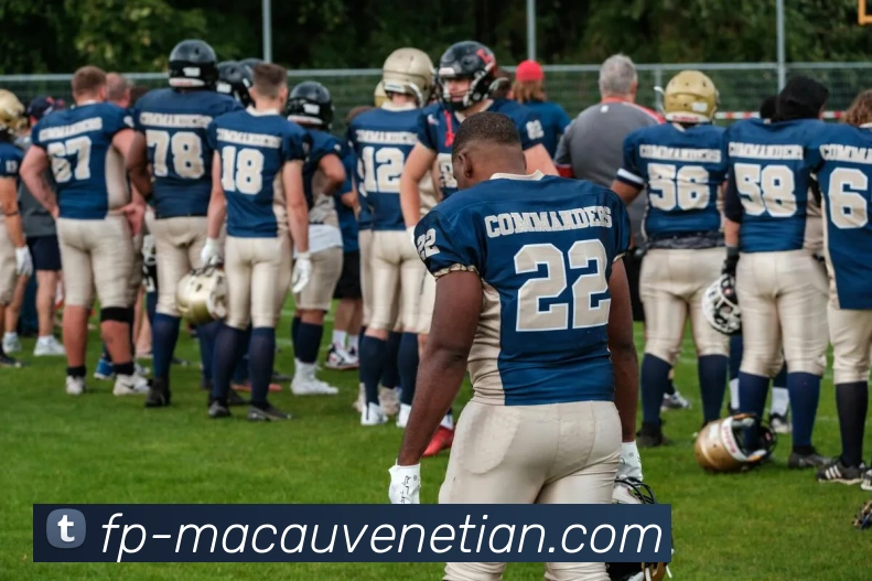 多媒体互动体验